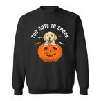 Halloween Labrador Sweatshirts