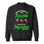 Funny Flamingo Sweatshirts