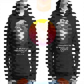 Black And White Cat Owner Love Kitten Retro Sunset Design Hoodie - Thegiftio