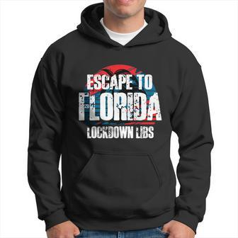 Desantis Escape To Florida Gift V2 Hoodie - Monsterry UK