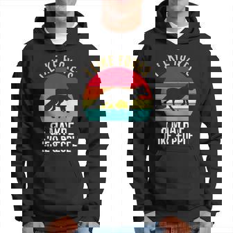 I Like Foxes And Maybe Like 3 People Men Hoodie - Thegiftio UK