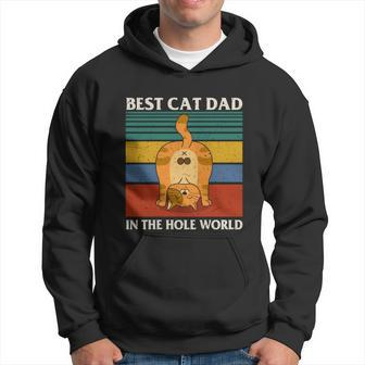 Funny Cat Dad Fathers Day Cat Lover Kitten Lover Cute Kawaii Vintage Kitty Hoodie - Thegiftio UK