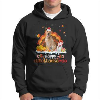 Hallothanksmas Halloween Thanksgiving Christmas Labrador Men Hoodie - Thegiftio UK