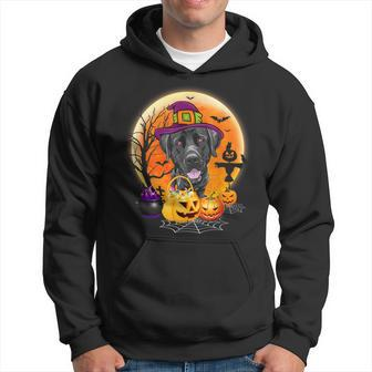 Halloween Great Dane Dog Moon With Pumpkin Funny Gifts Women Men Hoodie Graphic Print Hooded Sweatshirt - Thegiftio UK