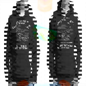 Tortoise Art For Biologists Marine Ocean Lover Of Turtles Pullover Men Hoodie - Thegiftio UK