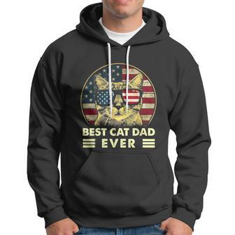 Vintage Best Cat Dad Ever American Flag Us Funny Fathers Day Hoodie - Monsterry UK