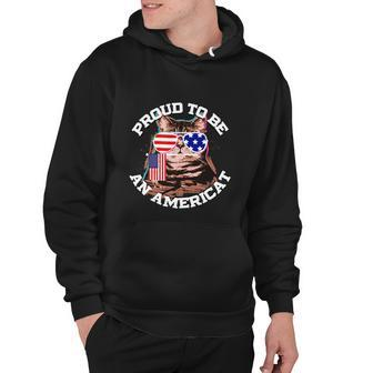 4Th Of July Cat American Flag Glasses Hoodie - Monsterry AU