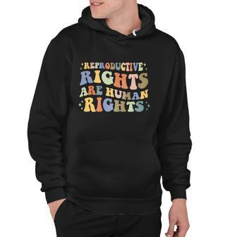 Aesthetic Reproductive Rights Are Human Rights Feminist V3 Hoodie - Monsterry UK
