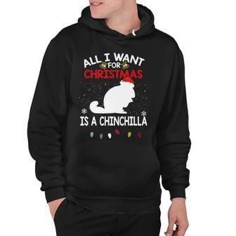All I Want For Christmas Is A Chinchilla Christmas Hoodie - Thegiftio