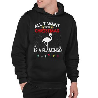All I Want For Christmas Is A Flamingo Christmas G Hoodie - Thegiftio