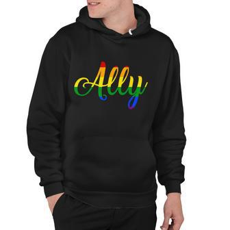 Ally Pride Rainbow Tshirt Hoodie - Monsterry DE