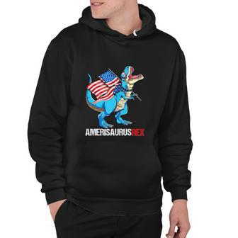 American Flag Funny 4Th Of July T Rex Dinosaur Hoodie - Monsterry