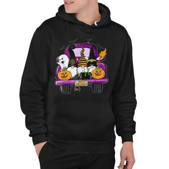 Boo Pumpkin Witch Gnomes In Halloween Truck Funny Holiday Hoodie - Seseable