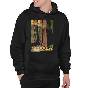 California Sequoia Trees National Park V2 Hoodie - Thegiftio UK