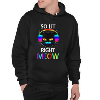 Cool Edm Music Festival Gift Funny So Lit Right Meow Gift Hoodie - Monsterry CA