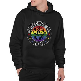 Dachshund Dad Lgbtgreat Giftq Gay Pride Flag Doxie Dog Lover Ally Great Gift Hoodie - Monsterry