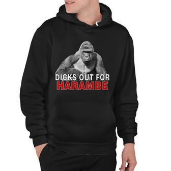 Dicks Out For Harambe V2 Hoodie - Monsterry UK