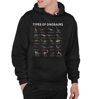 Dinosaurs Tshirt Hoodie - Monsterry