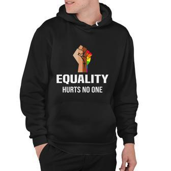 Equality Hurts No One Lgbt Human Rights Gift Hoodie - Monsterry