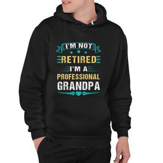 Fathers Day Im Not Retired Im A Professional Grandpa Gift Hoodie - Monsterry AU