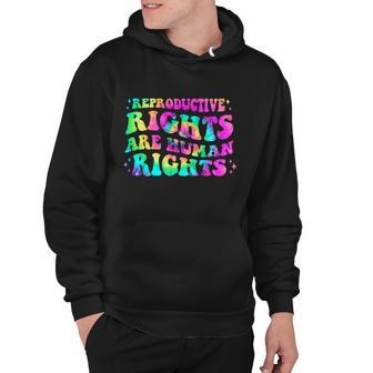 Feminist Aesthetic Reproductive Rights Are Human Rights Hoodie - Monsterry AU