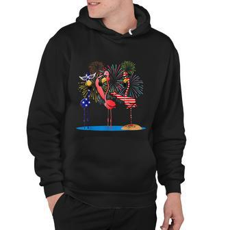 Flamingo 4Th Of July American Flag Flamingo Independence Hoodie - Monsterry DE