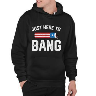 Fourth Of July 4Th July Fireworks Just Here To Bang Hoodie - Monsterry