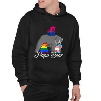 Free Dad Hugs Proud Papa Bear Lgbt Gay Pride Lgbtq Funny Gift Hoodie - Monsterry UK