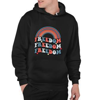 Funny 4Th Of July American Retro Rainbow Hoodie - Monsterry UK