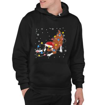 Funny Boxer Santa Hat Christmas Lights Xmas Dog Lover Owner Gift Hoodie - Monsterry CA