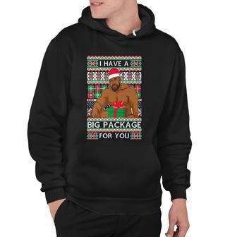 Funny I Have A Big Package For You Ugly Christmas Sweater Tshirt Hoodie - Monsterry AU