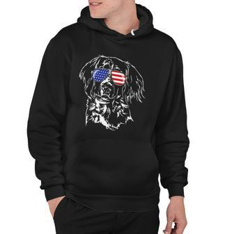 Funny Proud Small Munsterlander Pointer American Flag Dog Hoodie | Mazezy