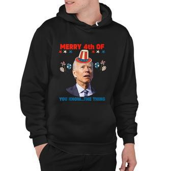 Funny Women Men 4Th Of July Merry 4Th Of You Know The Thing Hoodie - Monsterry DE