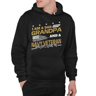 I Am A Dad Grandpa And A Navy Veteran Hoodie - Monsterry UK