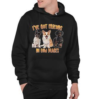 I Got Friends In Low Places Dogs Hoodie - Monsterry DE
