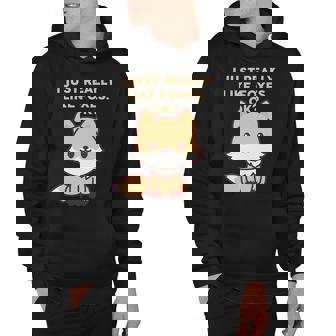 I Just Really Like Foxes Ok V2 Hoodie - Thegiftio UK