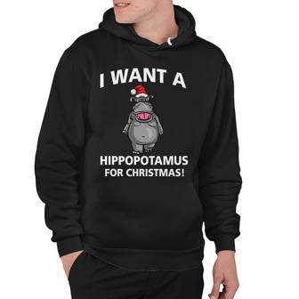 I Want A Hippopotamus For Christmas Tshirt Hoodie - Monsterry DE