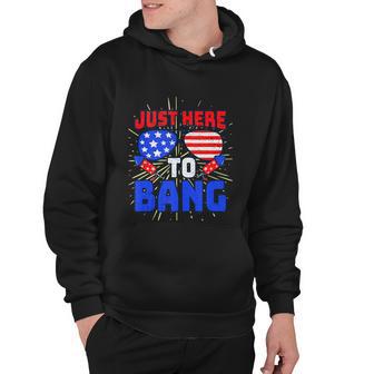 Im Just Here To Bang 4Th Of July Fireworks Fourth Of July Hoodie - Monsterry AU