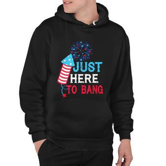 Im Just Here To Bang Funny 4Th July American Flag Hoodie - Monsterry
