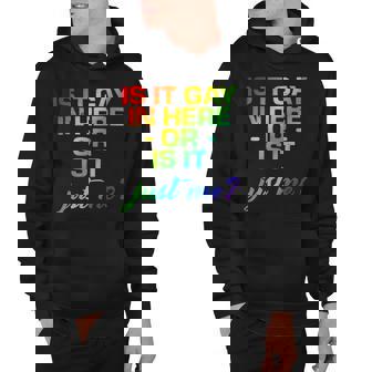 Is It Gay In Here Or Is It Just Me Hoodie - Monsterry