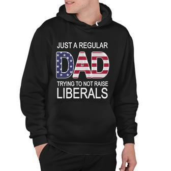Just A Regular Dad Trying Not To Raise Liberals Tshirt Hoodie - Monsterry AU