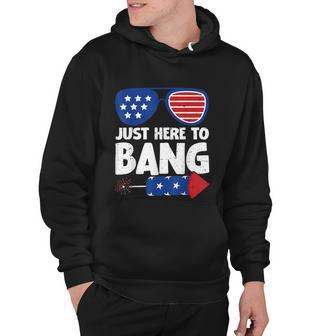 Just Here To Bang Firework 4Th Of July V2 Hoodie - Monsterry AU
