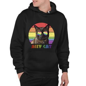 Lgbtq Ally Cat Rainbow Gay Pride Flag Lgbt Gift Hoodie - Monsterry CA