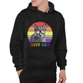 Lgbtq Ally Cat Rainbow Gay Pride Flag Lgbt Gift V4 Hoodie - Monsterry CA