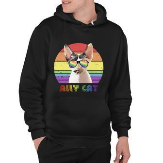 Lgbtq Ally Cat Rainbow Gay Pride Flag Lgbt Gift V9 Hoodie - Monsterry CA