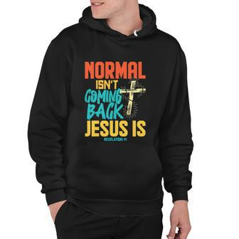 Normal Isnt Coming Back Jesus Funny Hoodie - Monsterry DE