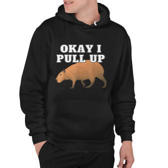 Okay I Pull Up Capybara Tshirt Hoodie - Monsterry DE