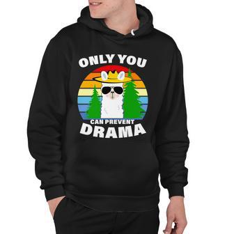 Only You Can Prevent Drama Llama Hoodie - Monsterry DE