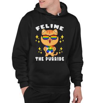 Pride Month Feline The Purride Lgbt Gay Hoodie - Monsterry UK