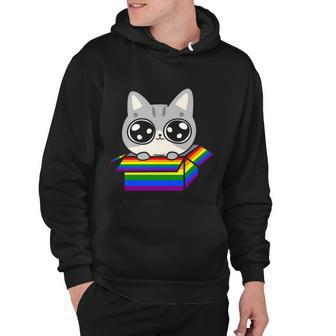 Pride Month Gay Cat In The Lgbt Hoodie - Monsterry UK